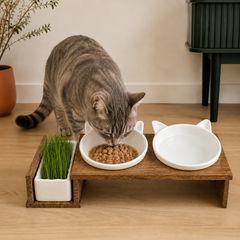 Dinner Set Stone UP – 3-teilig