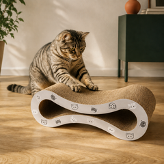 Kratzwelle Mimi aus Pappe