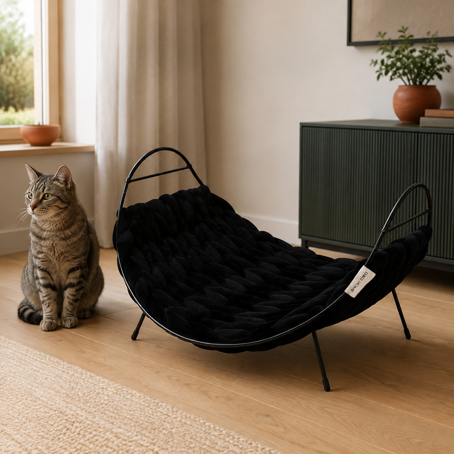 Design-Katzenbett Baily – Schwarz – hochwertig inszeniert im modernen Katzenhaushalt