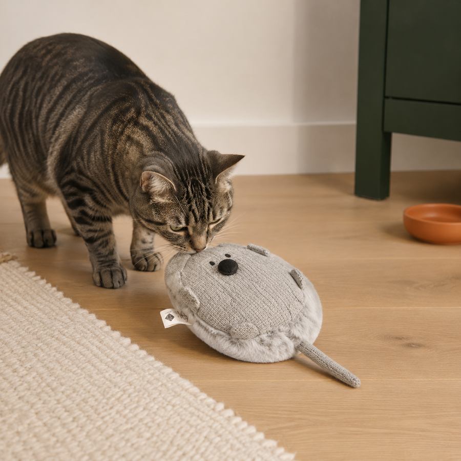 Tretkissen Bowie mit Katzenminze – hochwertig inszeniert im modernen Katzenhaushalt