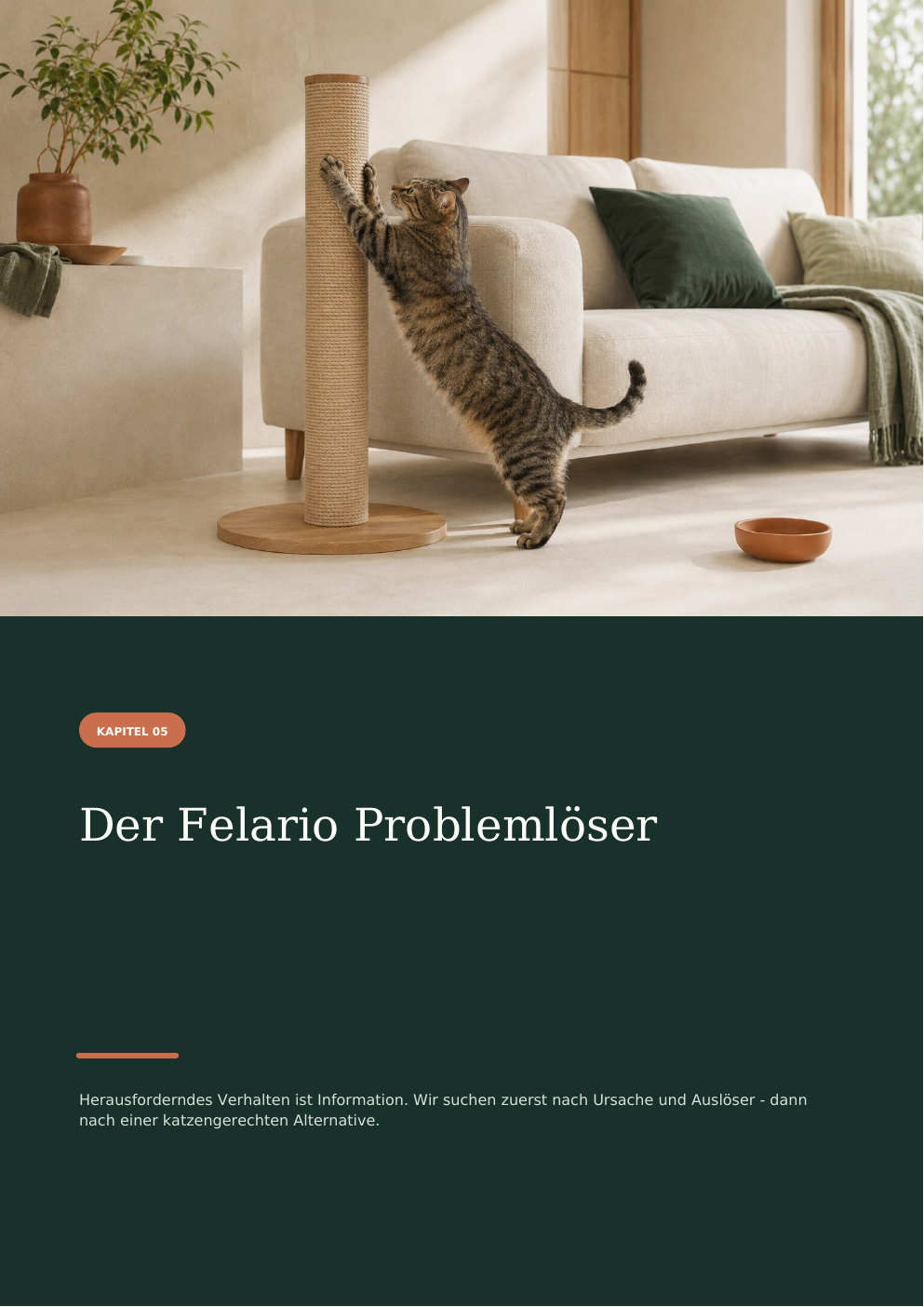 Der Felario Problemlöser für typische Herausforderungen im Katzenalltag