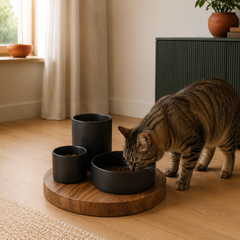 Katze frisst aus dem Futtertablett IGGY mit drei Ebenen