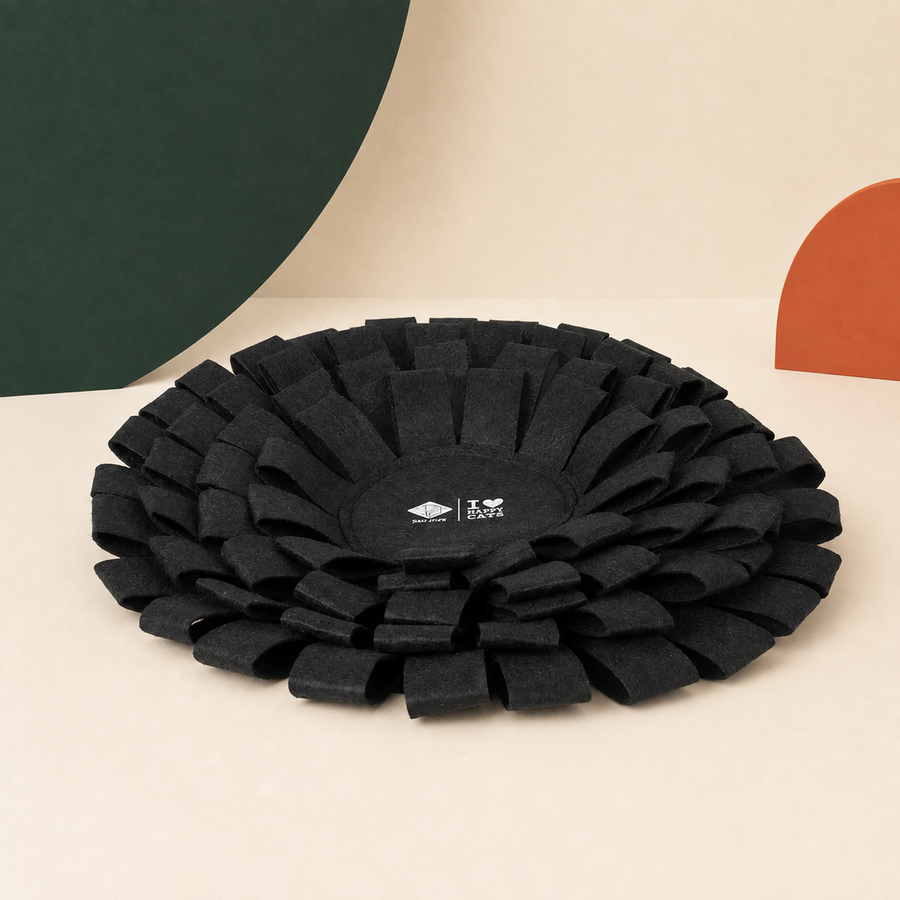 Schnüffelmatte SUZY in Schwarz – Produktansicht im Felario-Stil