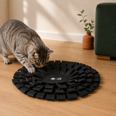 Katze mit schwarzer Schnüffelmatte SUZY in einer warmen Wohnszene